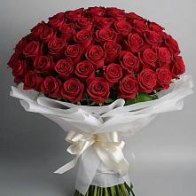 Букет 101 Красная роза Блэк Мэджик в Кинель-Черкассы