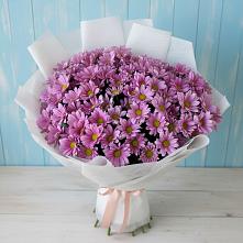Букет цветов из:  Хризантемы в Кинель-Черкассы