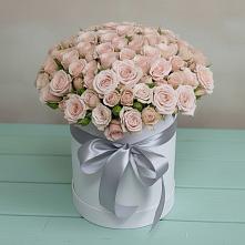 Цветочная композиция из Розы в шляпной коробке #REPLACE_PRED# Кинель-Черкассы