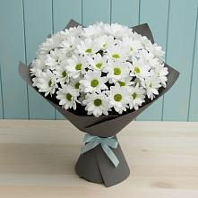 Букет цветов из:  Хризантемы #REPLACE_PRED# Кинель-Черкассы