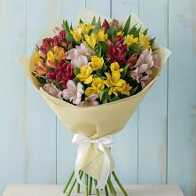 Букет цветов из:  Альстромерии в Кинель-Черкассы