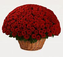 Премиум букет из: Розы в Кинель-Черкассы