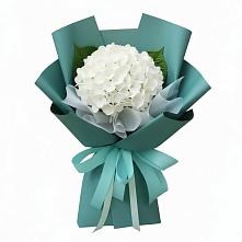 Букет цветов из:  Гортензия в Кинель-Черкассы